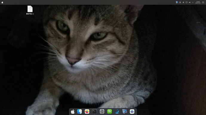 vokoscreenNG-2026-10-03_10-39-32.315