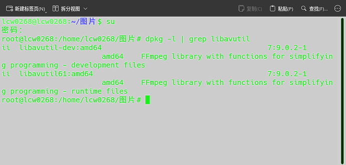 vokoscreenNG-2026-10-02_19-21-16.243